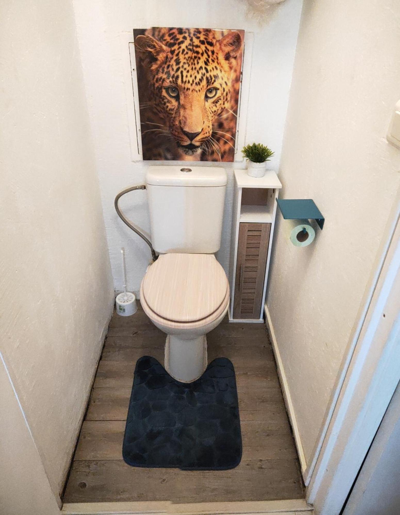 La Perle Marine, Cosy Et Renove, 200 M De La Plage, 1 Chambre, Parking Et Wifi Sète Exteriér fotografie